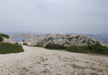 Randonnée Marche Marseille - Frioul Pomègues - Photo