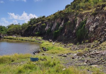 Tour Wandern Sainte-Anne - les anglais vers Cap chevalier  - Photo