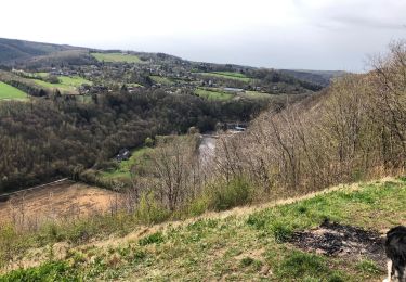 Randonnée Marche Olne - Boucle de Olne 13 Km - Photo