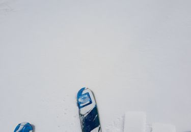 Percorso Sci alpinismo Puy-Saint-Pierre - prorel par le chemin retour par les pistes  - Photo