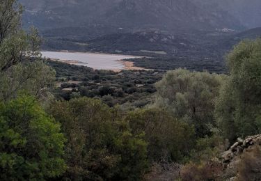Tour Wandern Santa-Reparata-di-Balagna - Boucle vers Codole - Photo