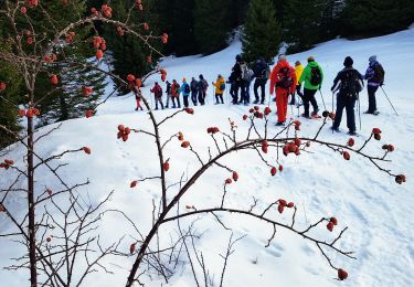 Trail Walking Prémanon - C Jura - journée du vendredi 24/01/2020 - Frasse/Boulu - Photo