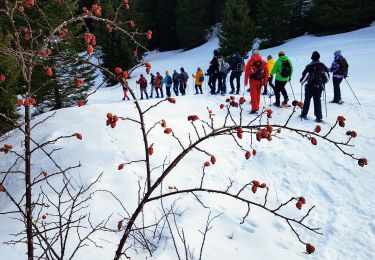 Tour Wandern Prémanon - C Jura - journée du vendredi 24/01/2020 - Frasse/Boulu - Photo