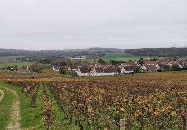 Randonnée Marche Château-Thierry - RP51-06 Château-Thierry à Nogent-l'Artaud - Photo