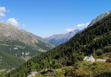 Randonnée Marche nordique Evolène - cabane du Tsa - Photo