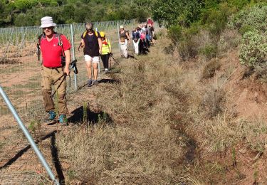 Trail Walking Le Muy - z les plaines 13-10-20 - Photo