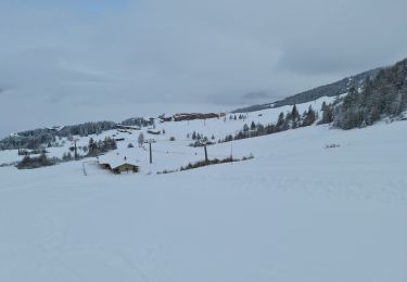 Randonnée Raquettes à neige Bourg-Saint-Maurice - Les Arcs (Le Chantel) vers Gare intermédiaire du Transarc - Photo