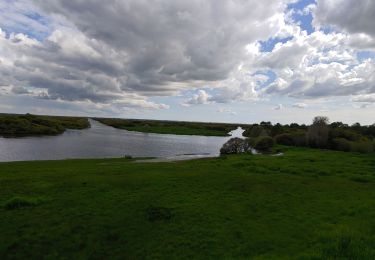 Tocht Stappen Saint-Philbert-de-Grand-Lieu - grand lieu - Photo