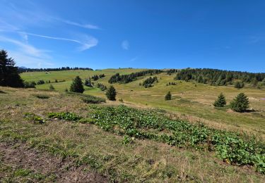 Tour Wandern Hauteluce - Sentier des alpages Les Saisies  - Photo