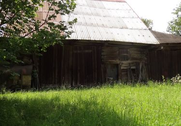 Tour Zu Fuß Langenbruck - [Z] Rašovské sedlo;Kohoutivice - Photo