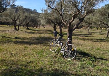 Percorso Bici da strada Cabasse - Vélo:  Cabas, le Luc, le Cannet-des-Maures, Le Thoronet et Carcès - Photo