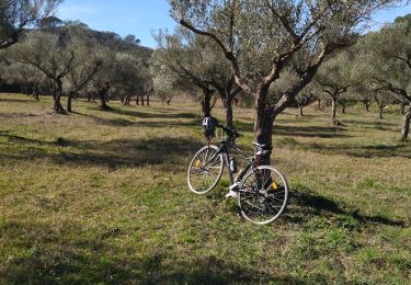 Tour Rennrad Cabasse - Vélo:  Cabas, le Luc, le Cannet-des-Maures, Le Thoronet et Carcès - Photo