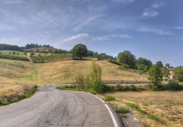 Tour Zu Fuß Scandiano - Ventoso - Monte De' Gesso - Pianderna - Monte Evangelo - San Ruffino - Ventoso - Photo