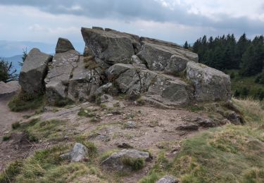 Trail Walking Stosswihr - Le Lac Vert depuis la Schlucht - Photo