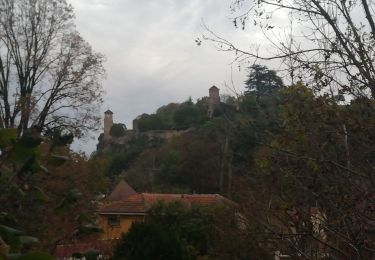 Excursión Bici de montaña Crémieu - Voie verte Crémieu Arandon - Photo