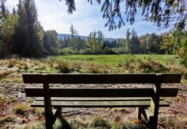 Tour Zu Fuß Bischofsgrün - Wülfersreuth Panoramaweg - Photo