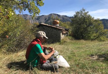Trail Walking La Javie - Facibel - Photo