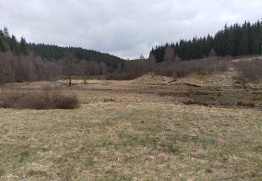 Trail Walking Monschau - Kalterherberg - rocher du Bieley - Photo