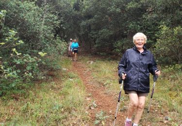 Tour Wandern Bargemon - Les bois de Favas et de Coste Rousse 1 - Photo