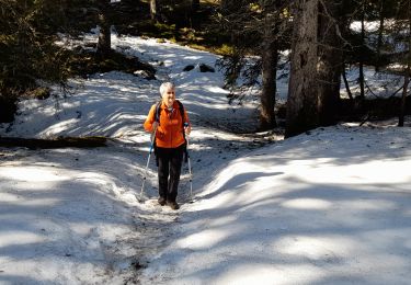 Trail Walking Glières-Val-de-Borne - GLIERES: TOUR DE LA MONTAGNE DES FRETES  mai 2023 - Photo