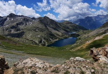 Trail Walking Saint-Dalmas-le-Selvage - Refuge de Vens par les Aiguilles de Tortisse - Photo