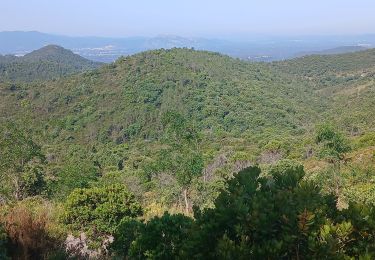 Trail Walking Fréjus - Mt Vinaigre lac de l'Avellan 06-06-2025 - Photo