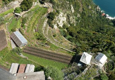 Trail On foot  - Ιβήρων - Φιλοθέου - Σιμονοπετρα - Photo