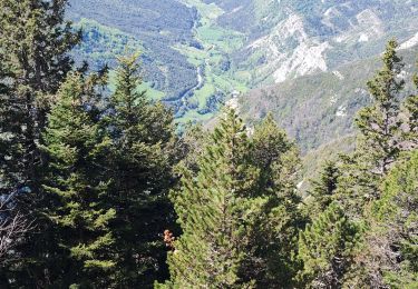Trail Walking Saint-Agnan-en-Vercors - Plateau de Beure - Tête du Faisan - Photo