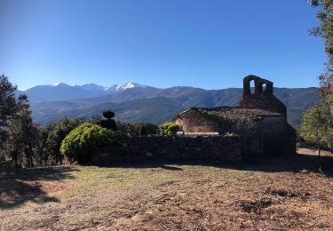 Tocht Stappen Caixas - 20211118 boucle depuis Chapelle Fontcouverte - Photo