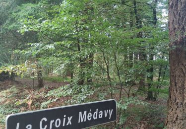 Trail Walking La Ferrière-Béchet - Forêt d'Ecouves - Photo
