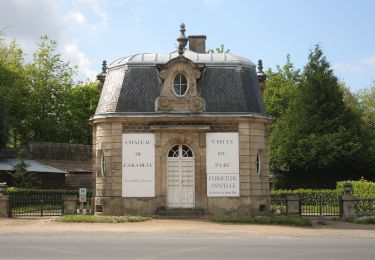 Tour Zu Fuß Saint-Pern - Circuit des Châteaux - Photo