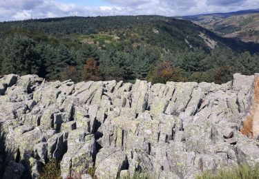 Percorso Marcia Montselgues - Montselgues Lespinas Liepertes - Photo