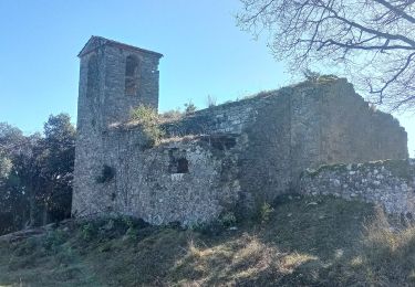 Tocht Te voet Sant Feliu de Pallerols - Sant Feliu de Pallerols-Sant Pere Sacosta-La Salut - Photo