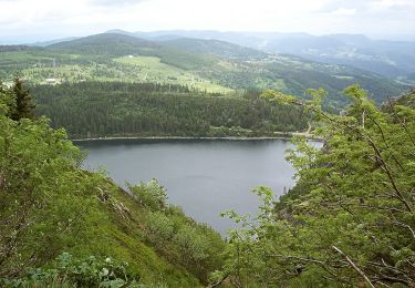 Tocht Te voet Le Valtin - 20. Les belvédères des trois lacs - Photo