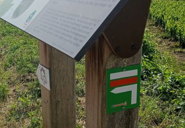 Tour Wandern Beaulieu-en-Argonne - Beaulieu-en-Argonne - Photo