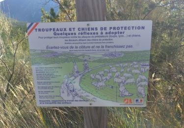 Tocht Stappen Senez - le poil - Photo