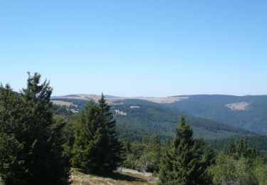 Tocht Stappen Goldbach-Altenbach - Firstacker - Grand Ballon (11/08/2022) - Photo