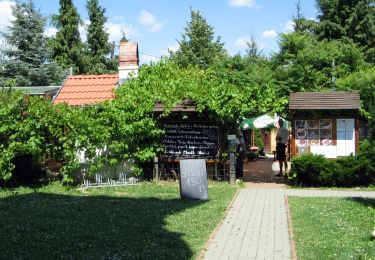 Randonnée A pied Zalakaros - Kilátó körtura - Photo