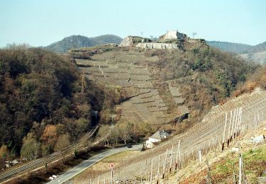 Tocht Te voet Altenahr - Altenahr Rundweg 3 - Photo