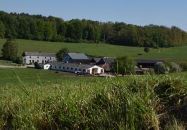 Trail Walking Fernelmont - RB-Na-26-racc-Sur les chemins du roi Albert 1er - Photo