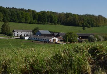 Tour Wandern Fernelmont - RB-Na-26-racc-Sur les chemins du roi Albert 1er - Photo