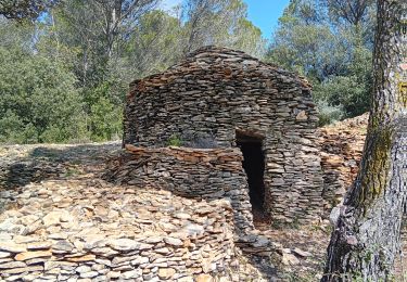Trail Walking Mornas - sentier des bories  mornas - Photo
