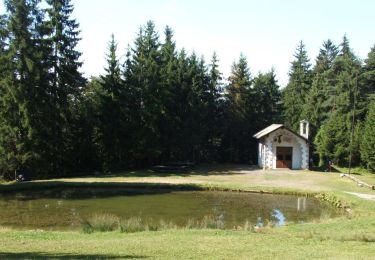 Tour Zu Fuß Sovere - CAI553A: Stalle d'Onito - Cima Trifone - Photo