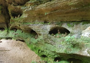 Excursión Senderismo Berdorf - Mullerthal Balisage E1 - Photo