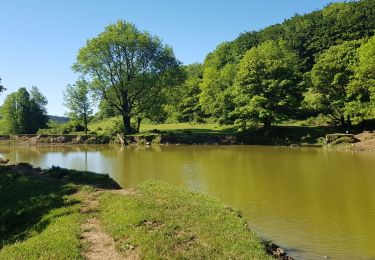 Trail Walking Camps-sur-l'Agly - Cathares E2 Camps s/Agly Bugarach 02.06.2019 - Photo