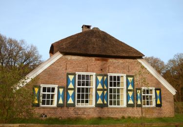 Excursión A pie Raalte - WNW Salland - Het Raan/Krieghuisbelten - blauwe route - Photo