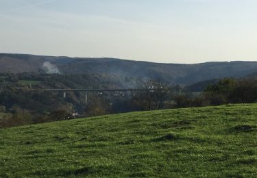 Excursión Bici de montaña Olne - Aywaille - Photo