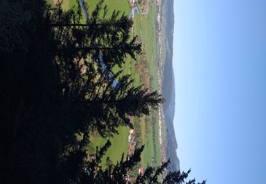 Randonnée Marche Grand'Combe-Châteleu - Grand Combe Chateleu  - Photo