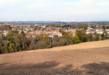 Trail Other activity Puylaurens - Saint-Sébastien - Photo