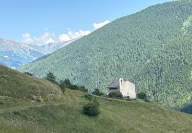 Trail Walking Abriès-Ristolas - Alf Queyras j3 réel - Photo